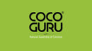 Cocoguru Logo Wide