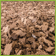 Coconut Oil Cake 1 kg - Cocoguru Coconut Oil