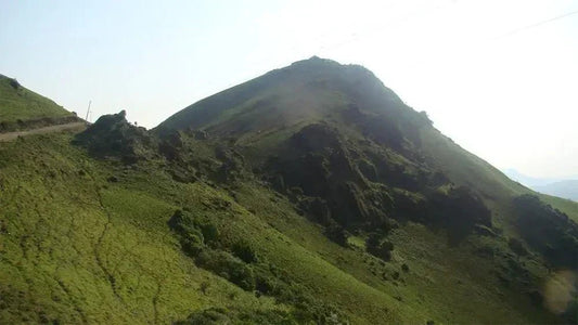 Trip to Mullaiyanagiri - Cocoguru Coconut Oil